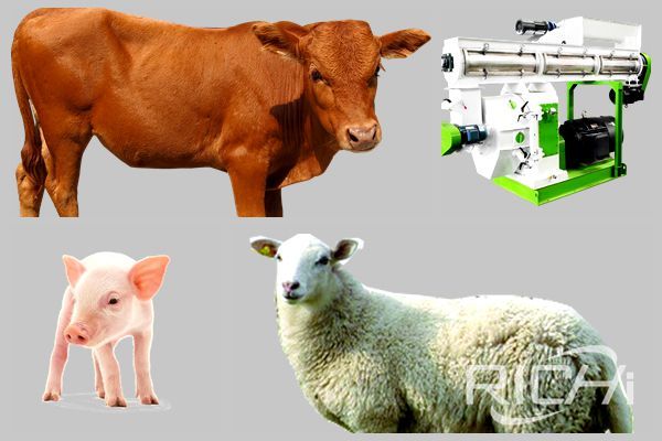 How much is the pig, cattle and sheep feed pellet machine production line?