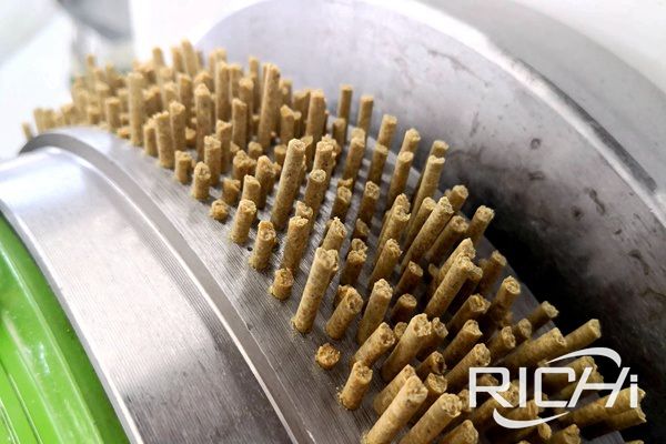 Differences between ring die and flat die feed pellet machine?