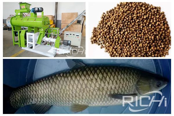 Fish feed pellet machine manufacturer tell you four points to note in spring fish farming