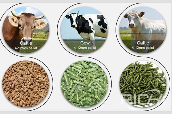 What is the output of cattle and sheep pelletizer and forage pelletizer?