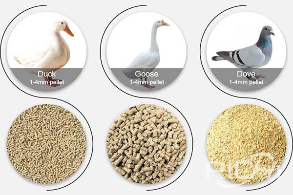 Why do rabbit, pigeon, duck, and goose feed pelletize?