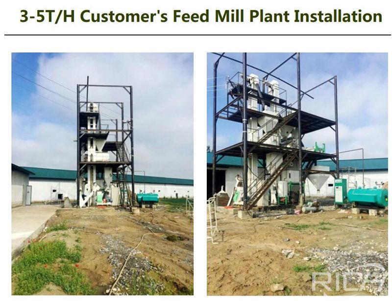 Uzbekistan 4tph chicken feed pellet production line Construction Site