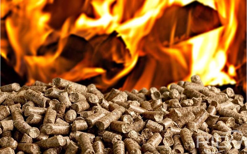 10 question to consider when building your own pellet plant