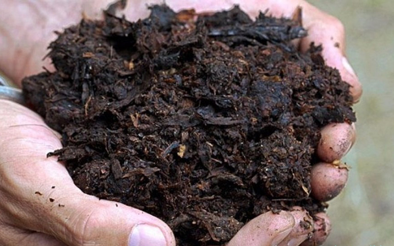Steps And Advantages Of Making Horse Manure Into Fuel Pellets