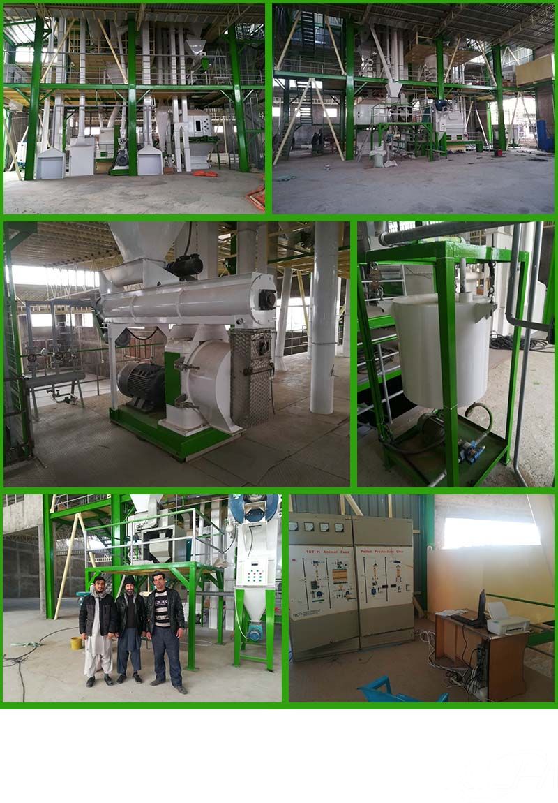 Afghanistan 10T/H Animal Feed Pellet Production Line