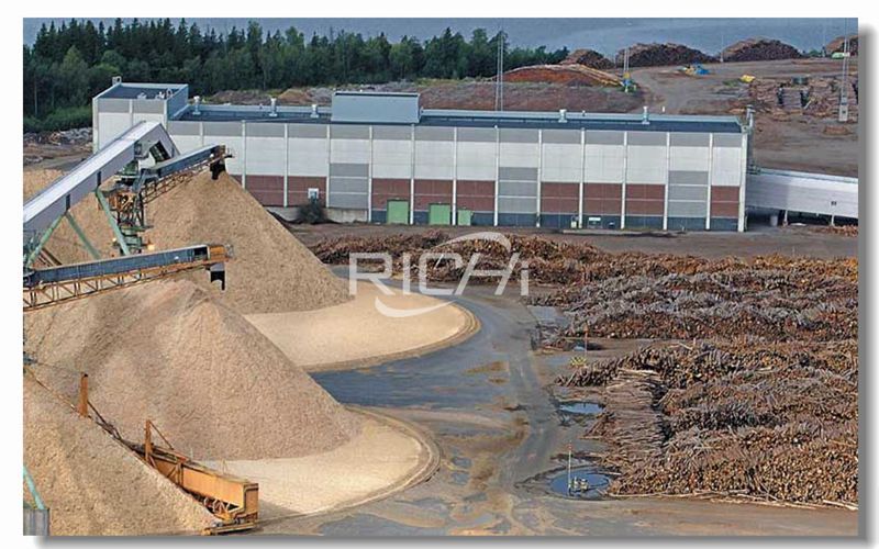 Production Project of 5,000 Tons of Wood Sawdust Biomass Pellets Per Year