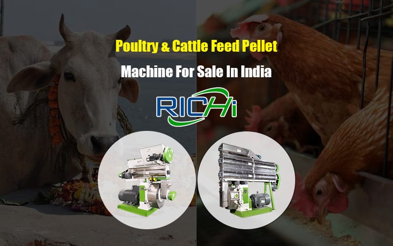 animal poultry chicken cattle aqua feed pellet mill