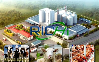 400 Tons/Day Cattle Sheep Poultry Feed Plant Business Proposal