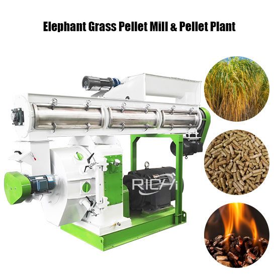 Elephant Grass Pellet Mill