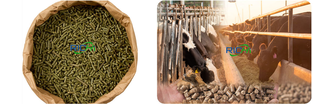 how to make sheep feed pellets