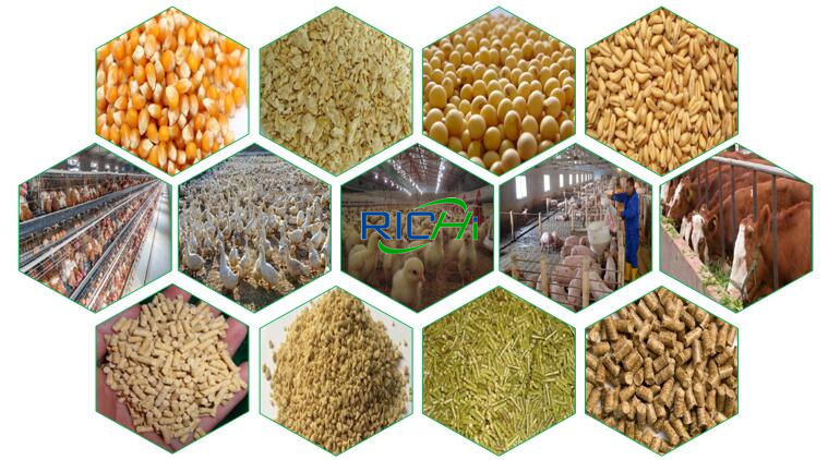 pellet mill 3kw 4hp electric pellet press in stock animal feed