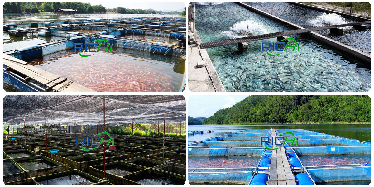 fish feed production process floating fish feed production process