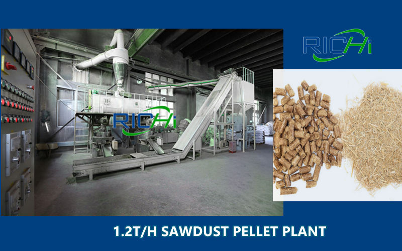 Small 1.2TPH Wood Pellet Plant For Pelletizing Wood Sawdust