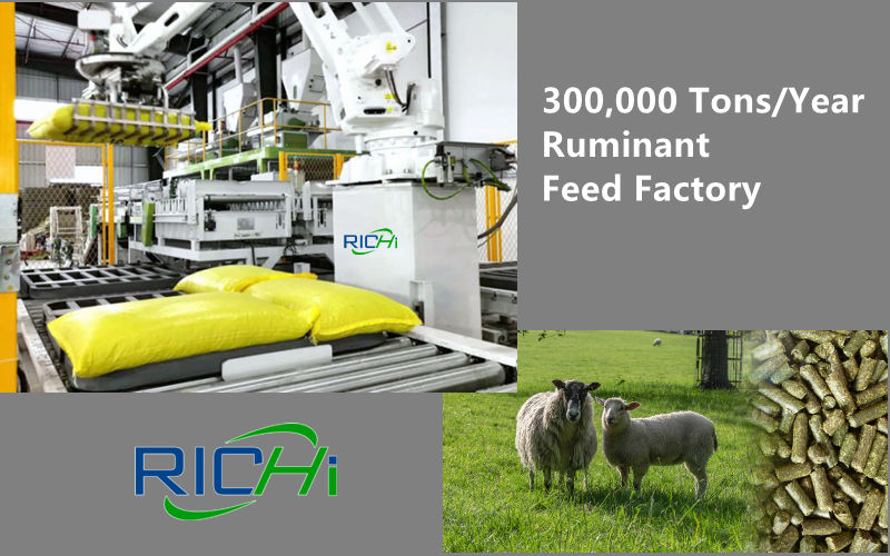Large Scale Full Automatic 300,000 Tons Of Ruminant Feed Factory For Sheep Feed Production Put Into Operation