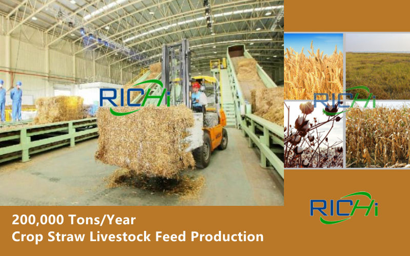The 200,000 Tons/Year Crop Straw Livestock Feed Production Business Project Participated By RICHI Was Put Into Production