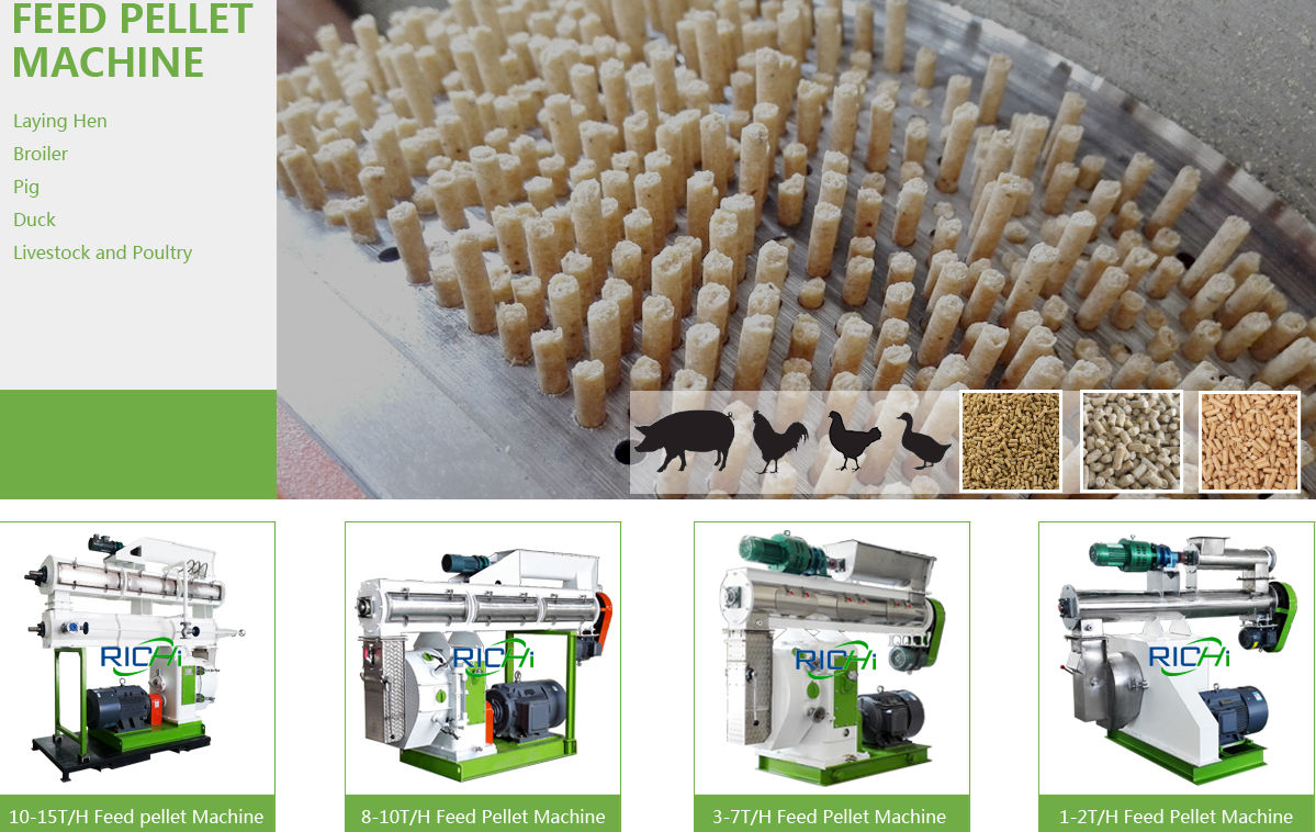 automatic chicken animal feed pellet making plant for sale