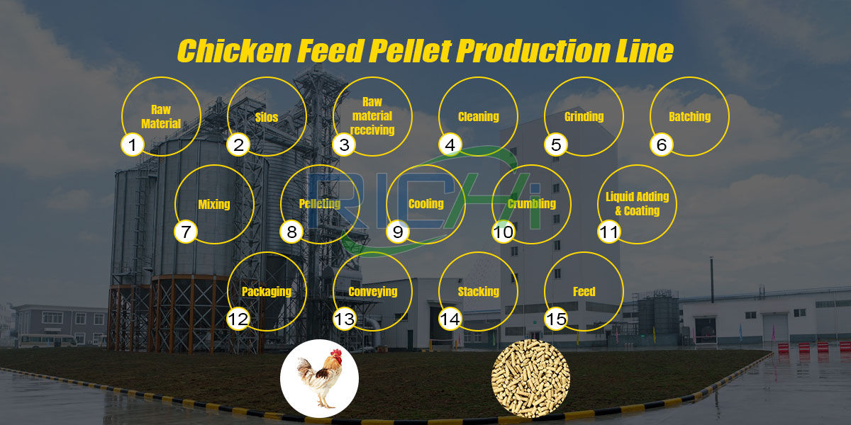 Chicken feed making process