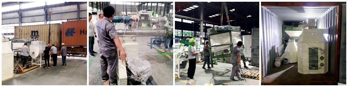 Animal Feed Processing Machine in Ethiopia feed pellet production line