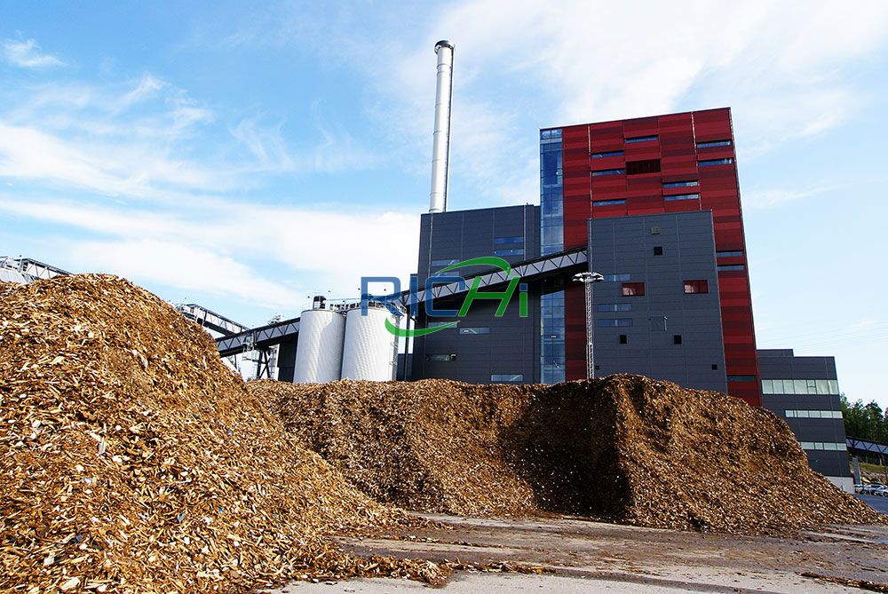 2-2.5t/h wood pellet production line in Russia project
