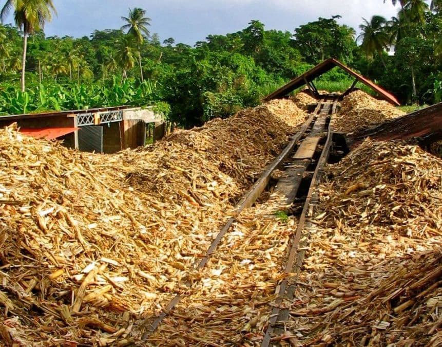 Why use Sugarcane Bagasse as pellet raw material