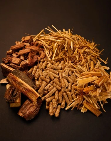 Biomass Drying System