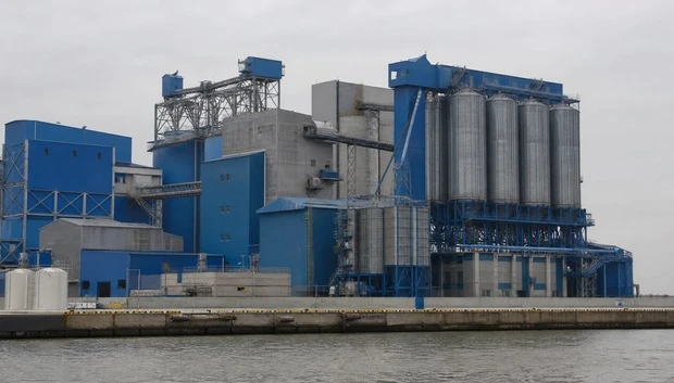 Fish Feed Plants