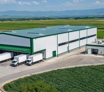Dehydrated Veg Factories