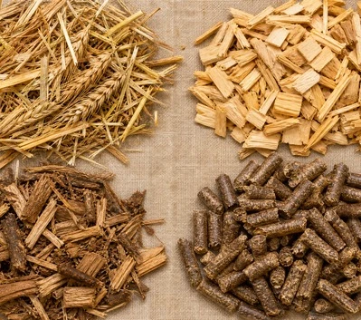 Biomass Energy Sources