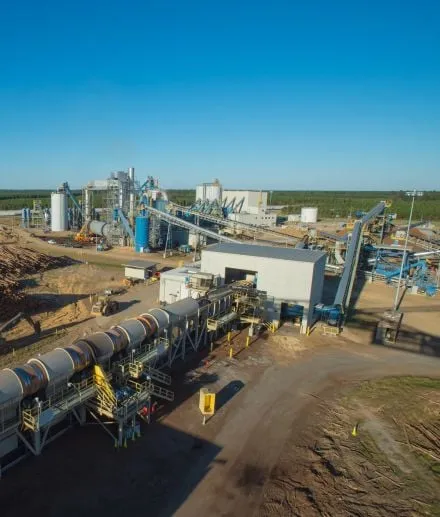 biomass pellet machine plant