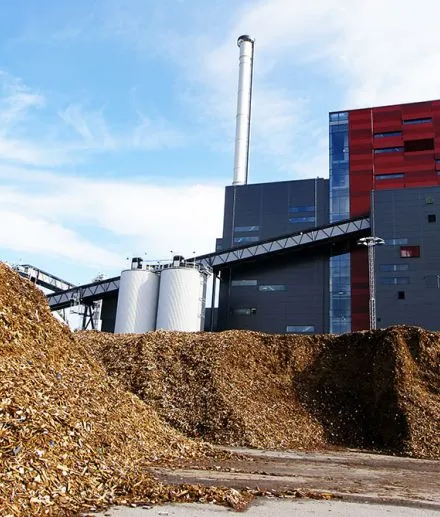biomass pellet machine plant