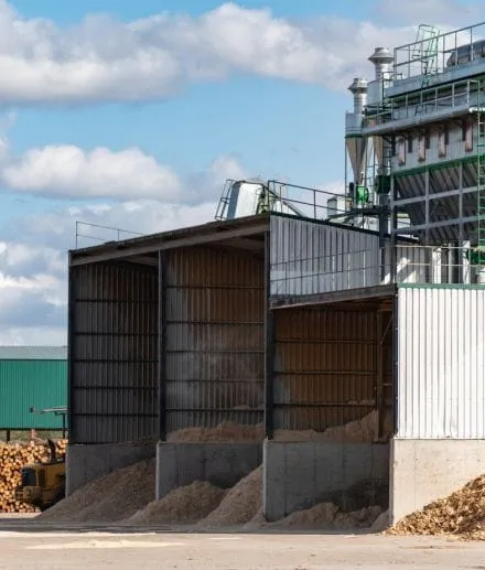 biomass pellet machine plant