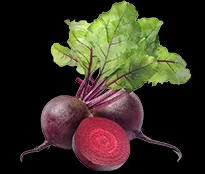 Beet