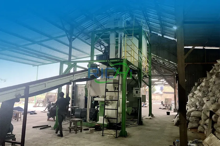 जर्मनी में 2-3 टन/घंटा क्षमता वाली बायोमास पेलेट मशीन बिक्री के लिए उपलब्ध है।