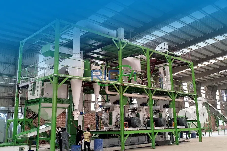 20T/H Biomass Pellet Machine for sale Bangladesh