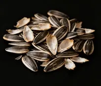 Sunflower seed shells