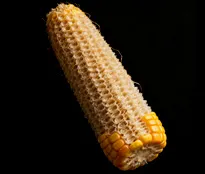 corn cob