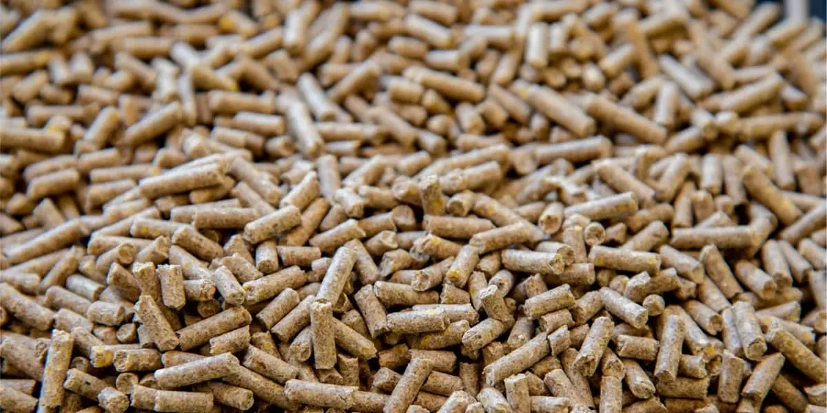 biomass pellets