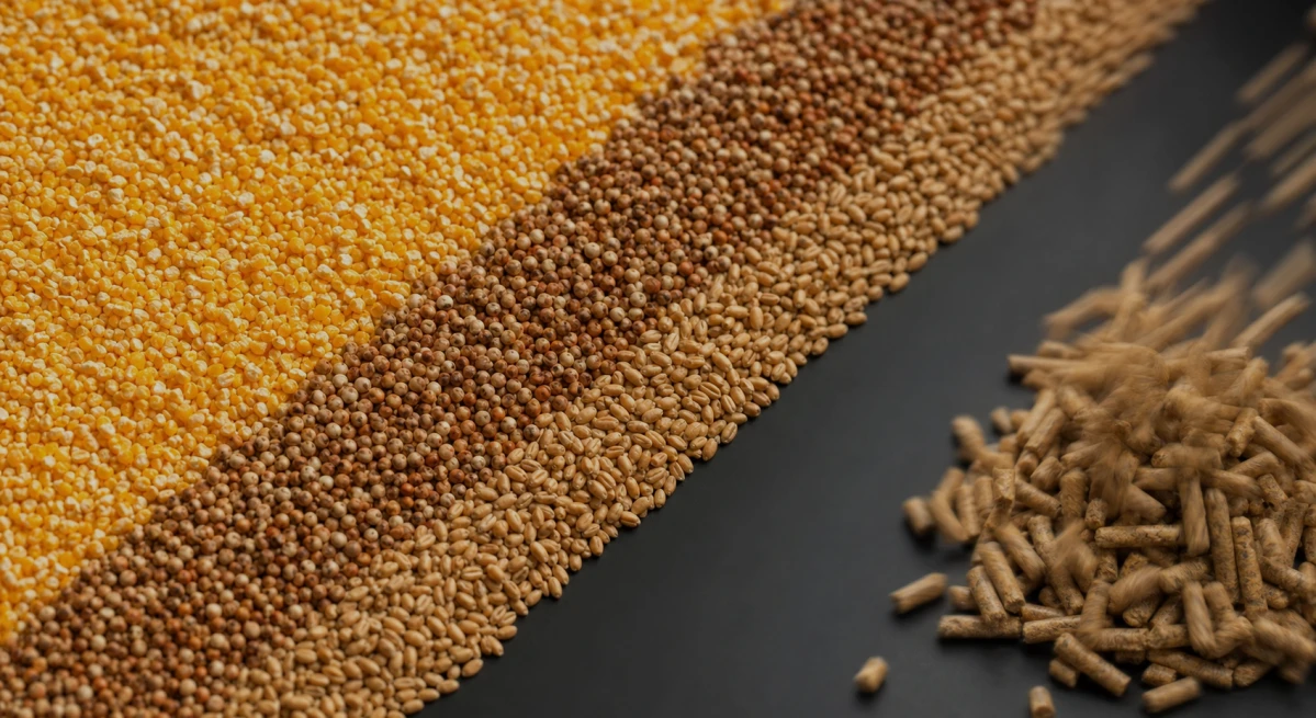 Animal Feed Hammer Mill Video in Oman