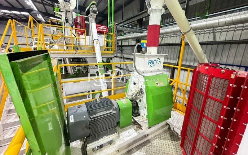 Animal Feed Hammer Mill in France