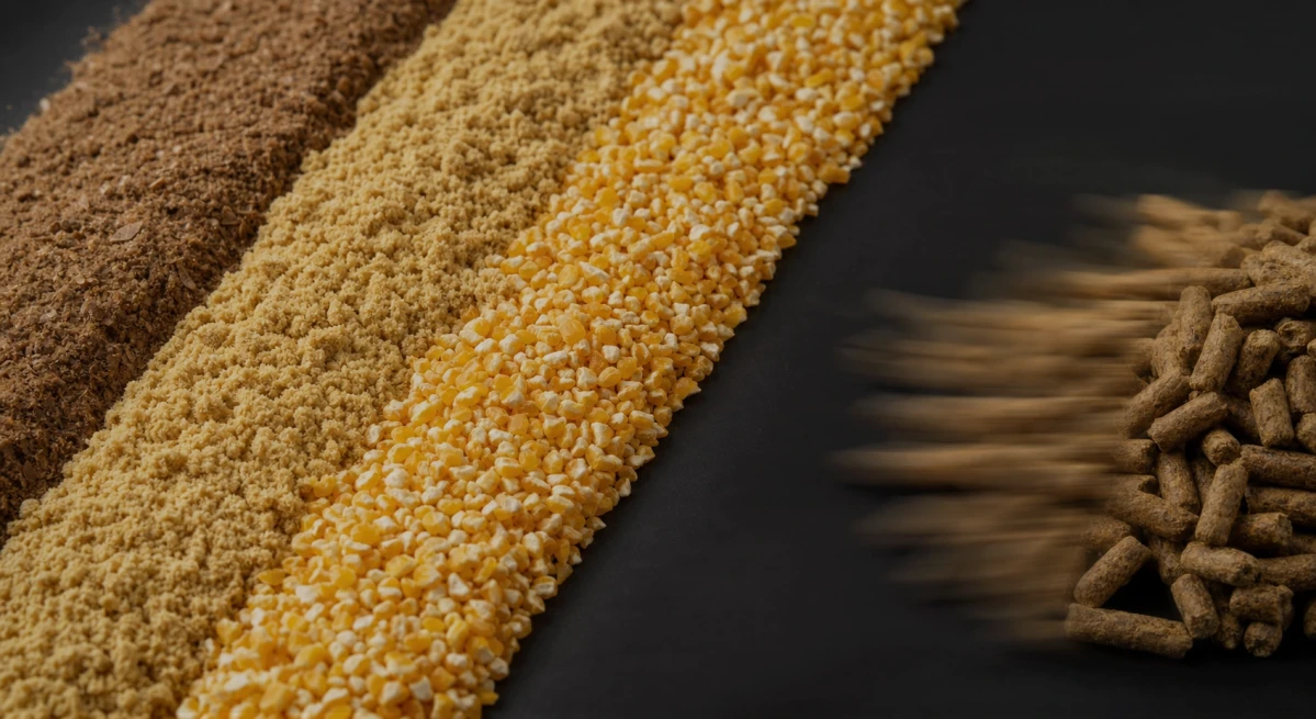 Animal Feed Hammer Mill Video in Iran