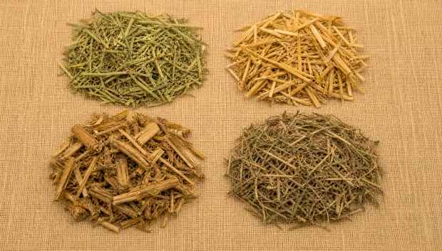 Forage Grass Crop Straw