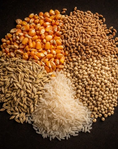 Grain Grinding System
