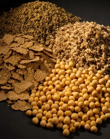 Protein Ingredient Grinding System