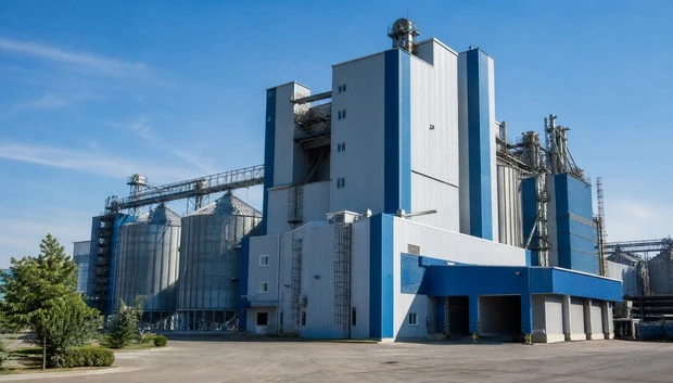 Feed Processing Plants