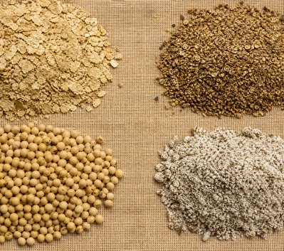 Protein Meal Soybean Rapeseed