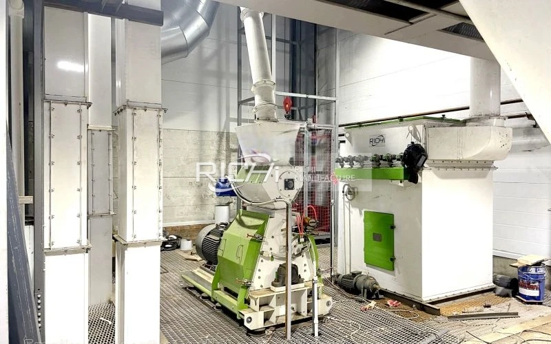 Animal Feed Hammer Mill in Argentina