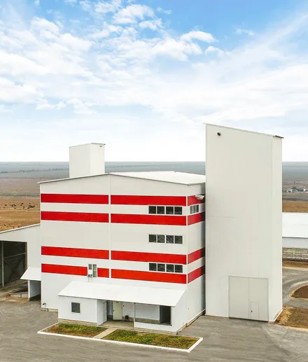 feed pellet machine line