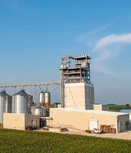 feed pellet processing plant