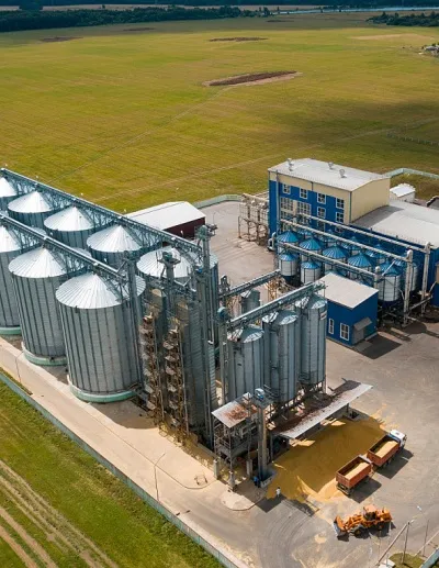 feed pellet machine plant