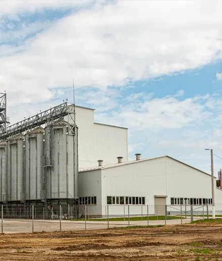 feed pellets machine plant